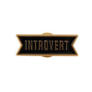 Значки піни; уп. 1 шт.; Introvert